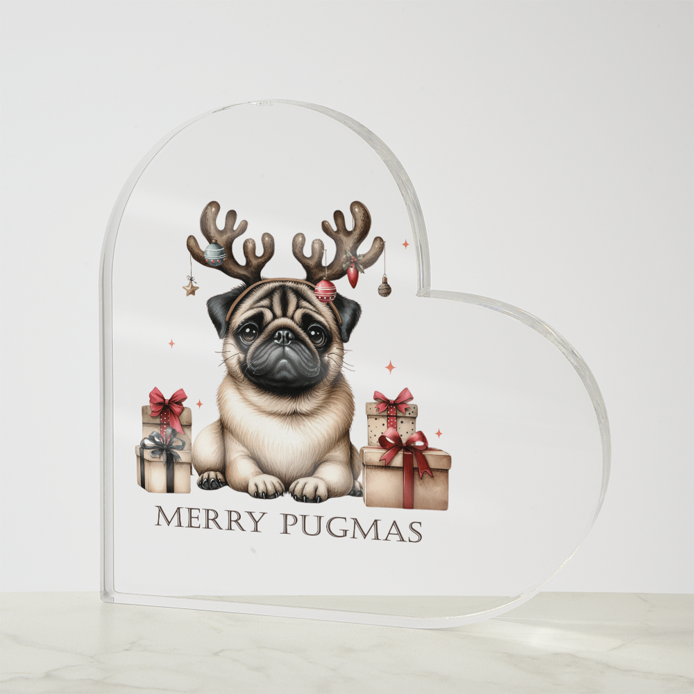 To My Family Acrylic, Santa Paws Is Coming To Town!