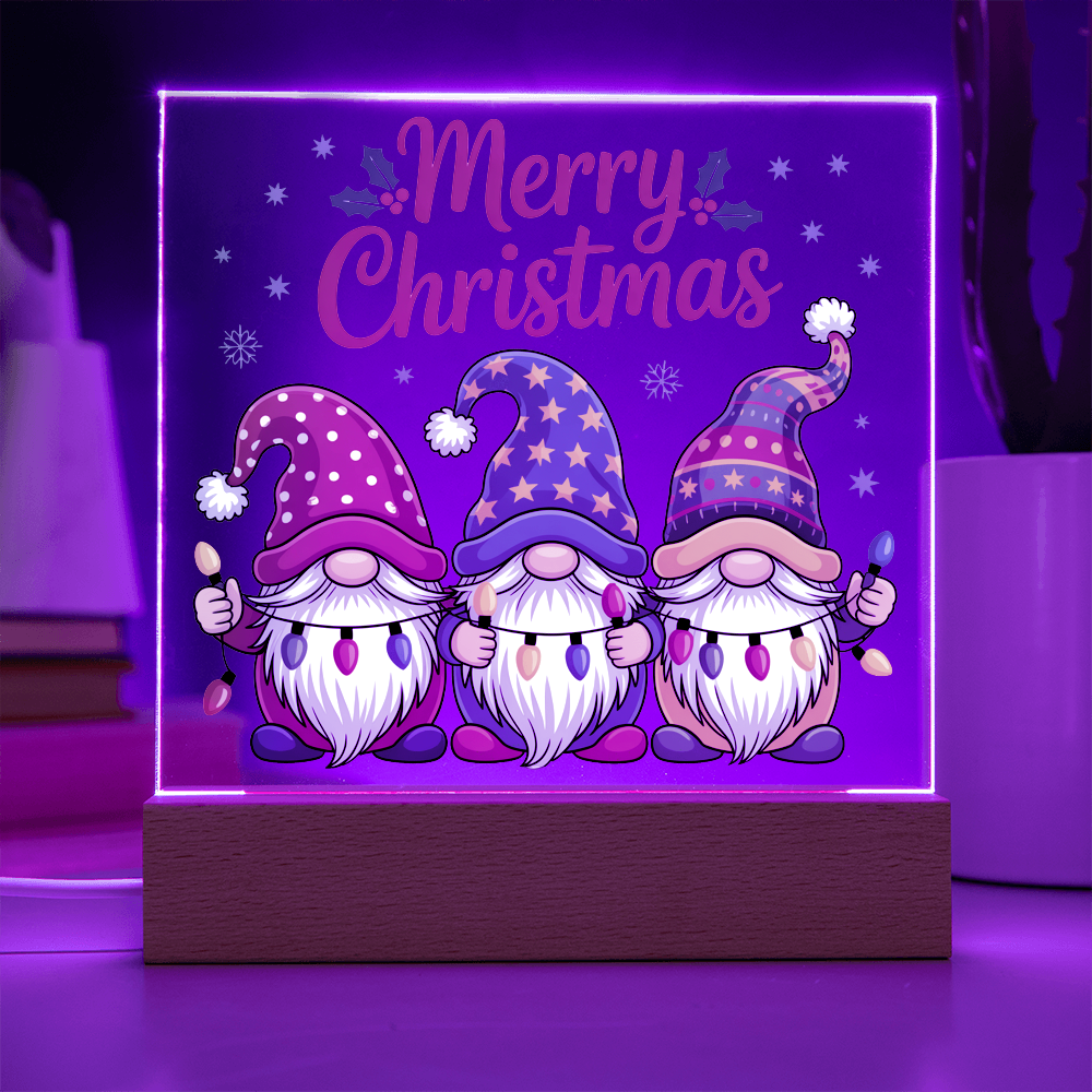 To My Familiy Acrylic, Merry Christmas Gnome