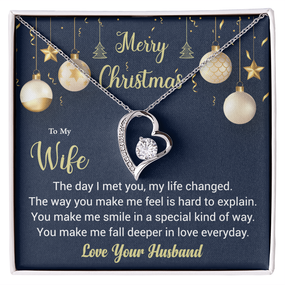 To My Wife, The Day I Met You