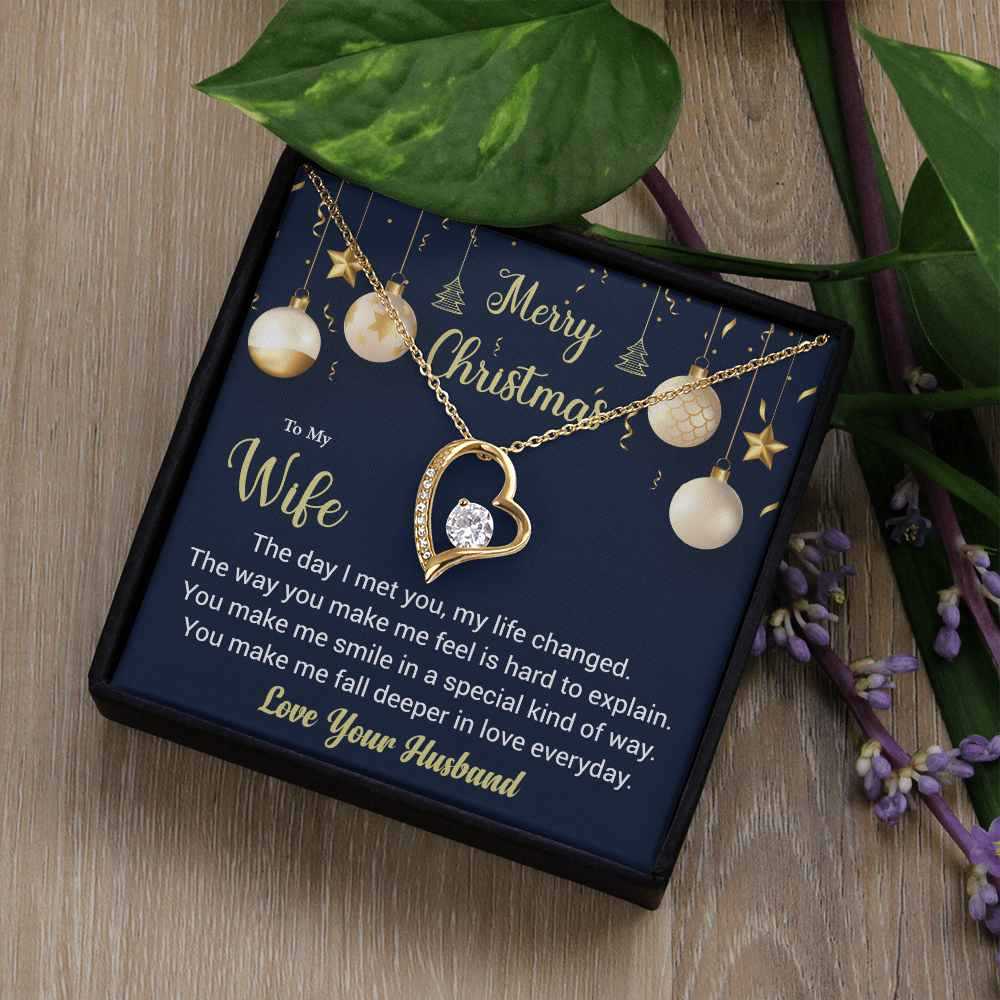 To My Wife, The Day I Met You