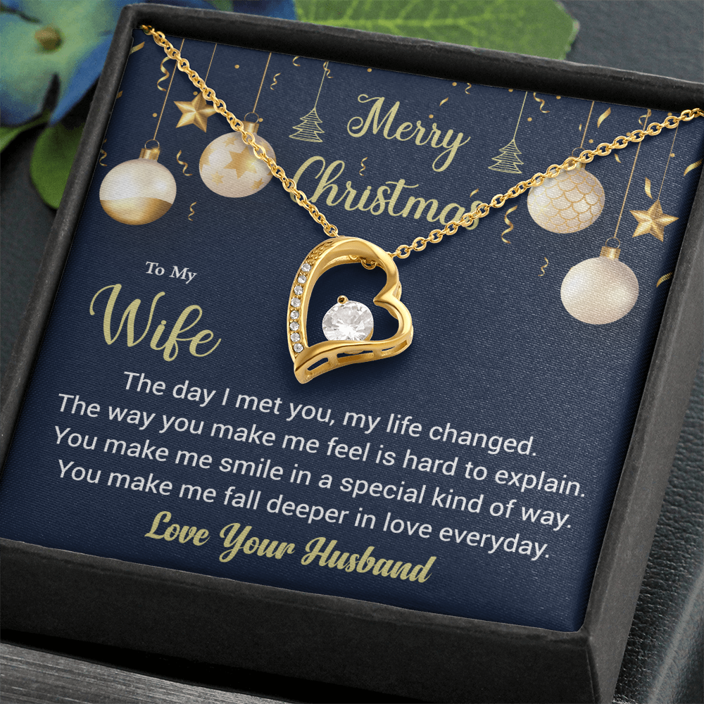 To My Wife, The Day I Met You